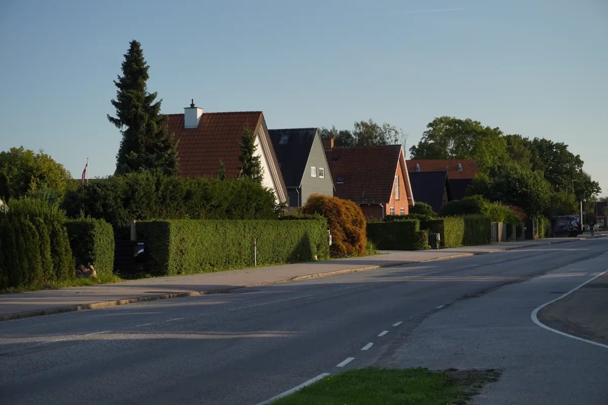 A quiet road past red-roofed houses and hedges in evening light