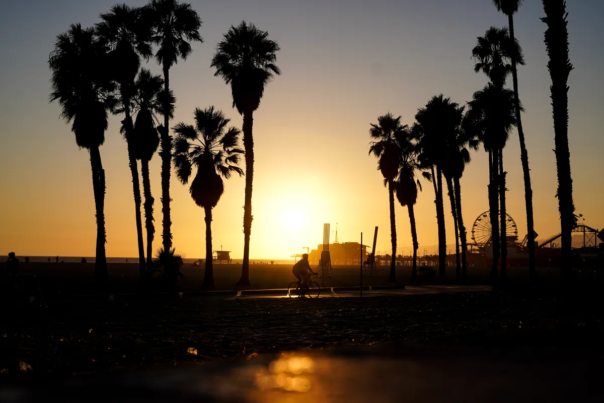 Palm trees in silhouette at sunset, a Ferris wheel in the distance