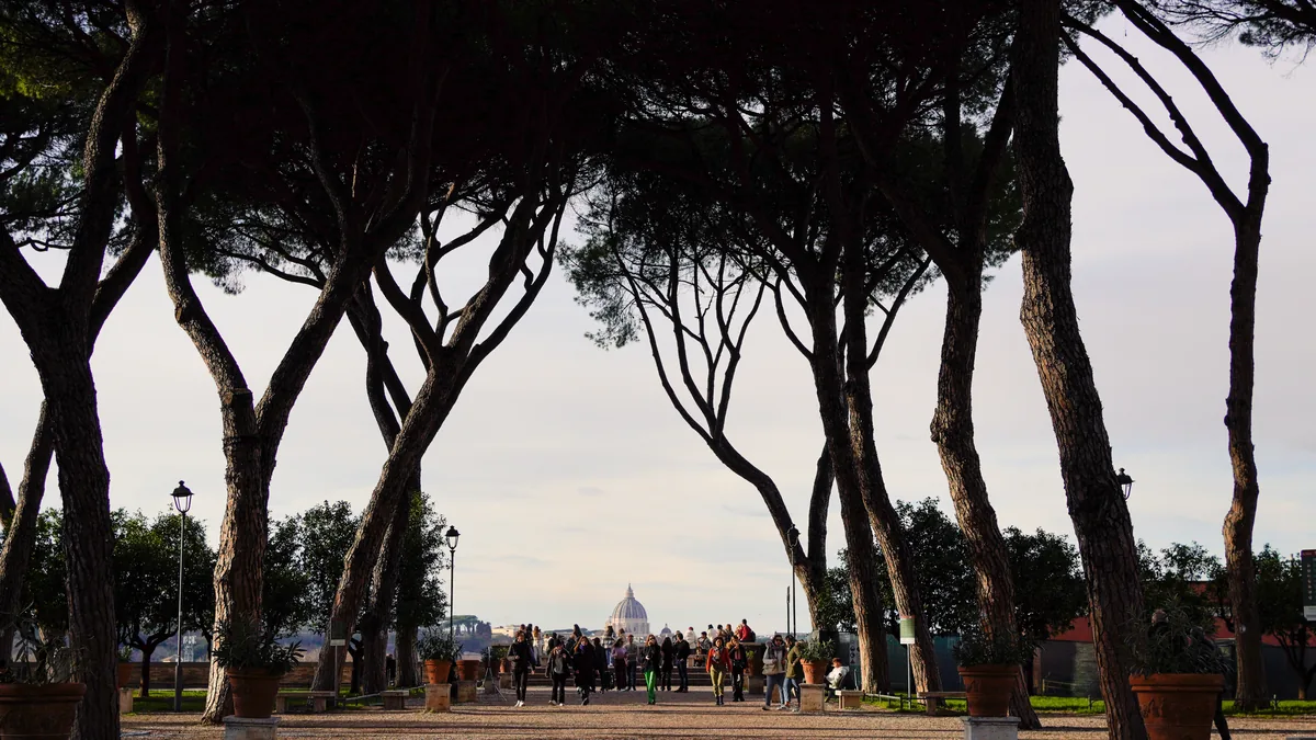 Umbrella pines in silhouette above a terrace, a dome in the distance